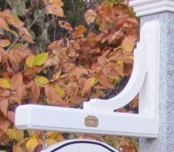 sign brace